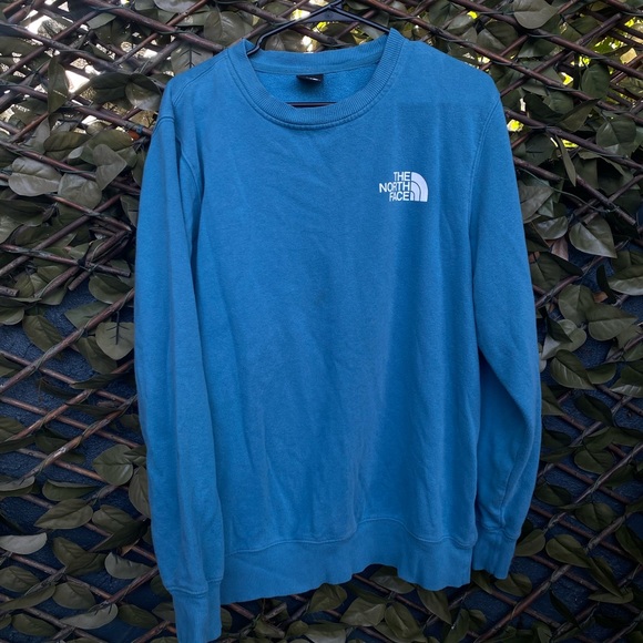 The North Face Other - The North Face Men’s Large Sweater in Blue